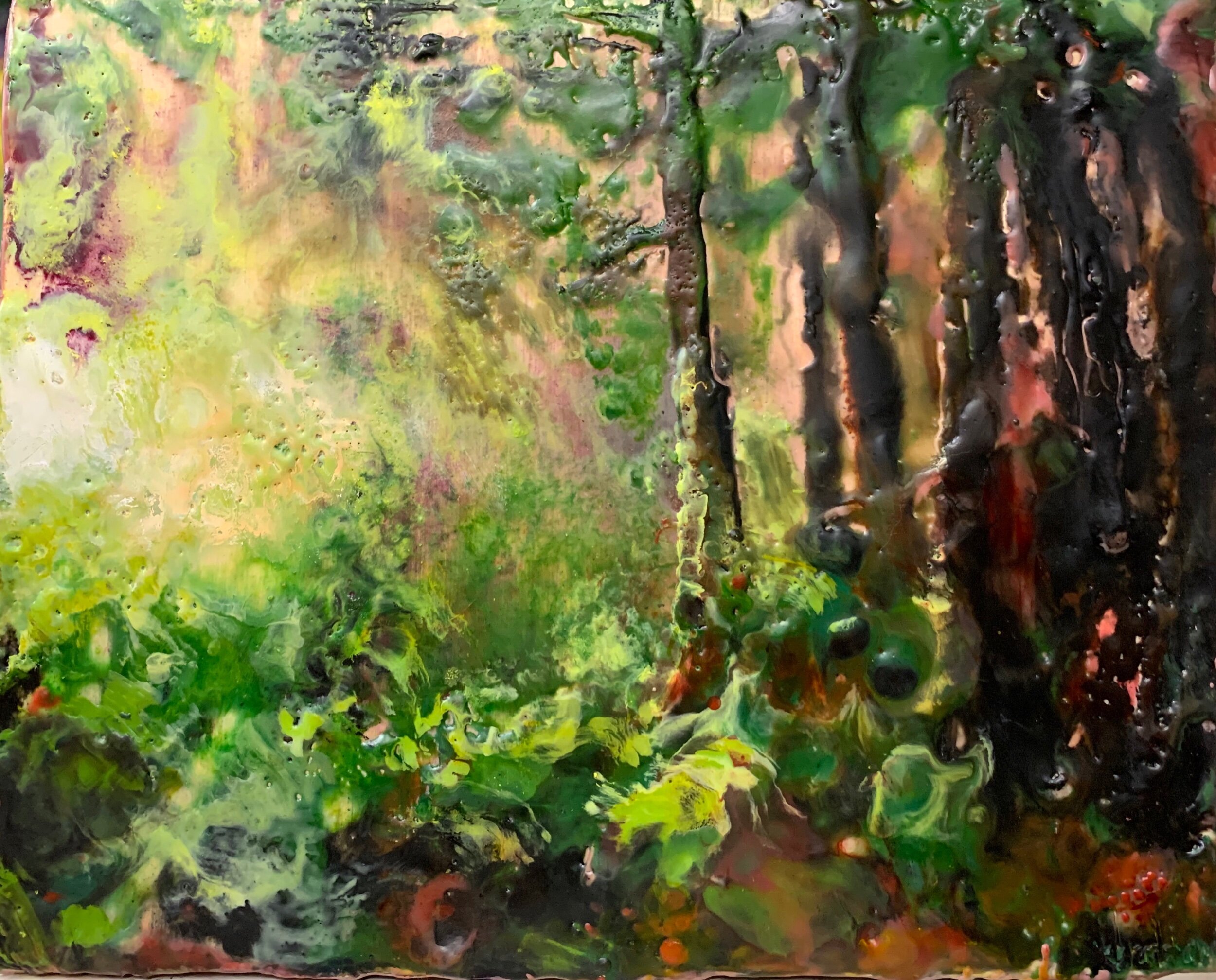 “Forest Glory”