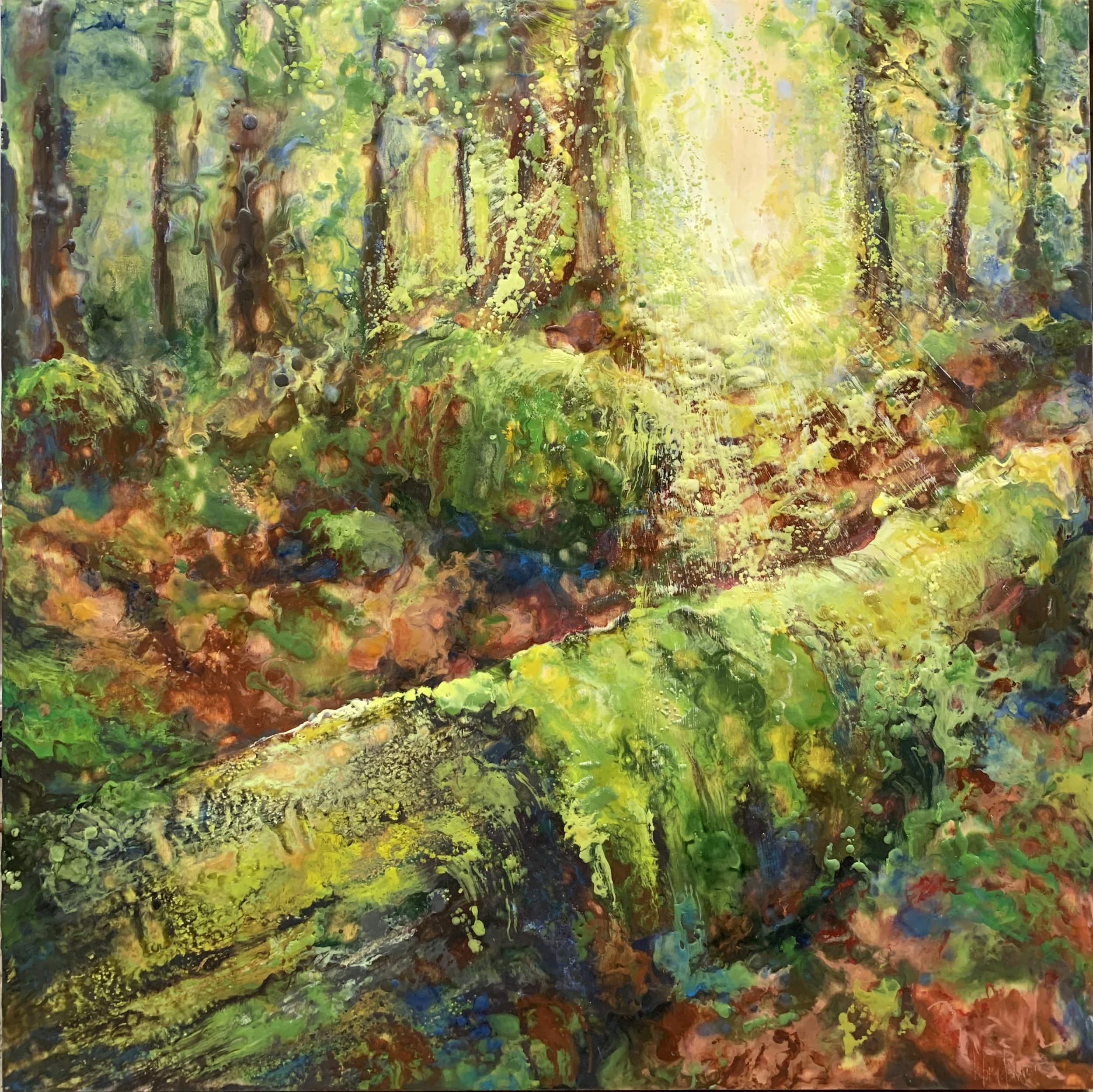 "Where the Fairies Play"