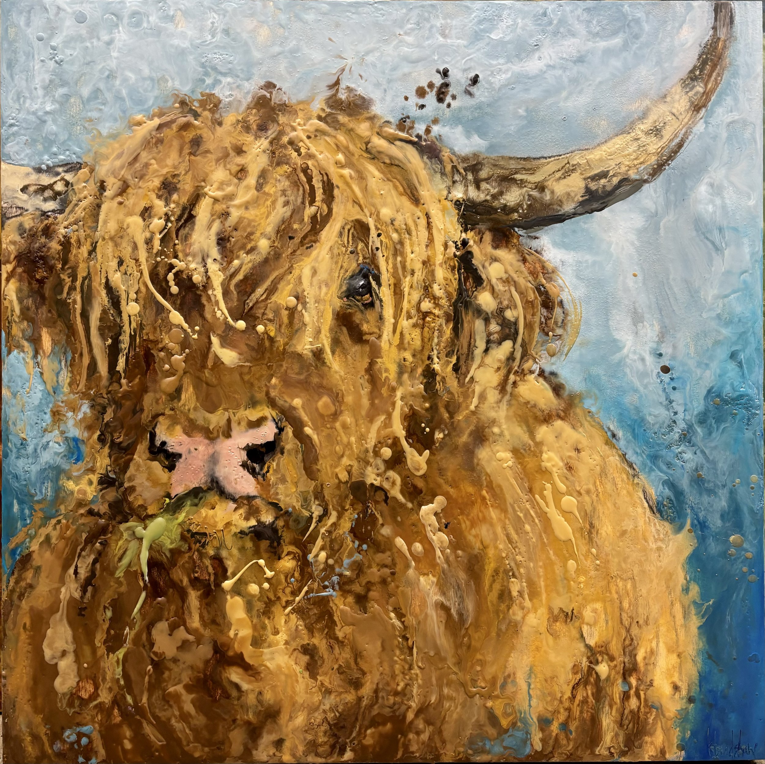 A Coo For You