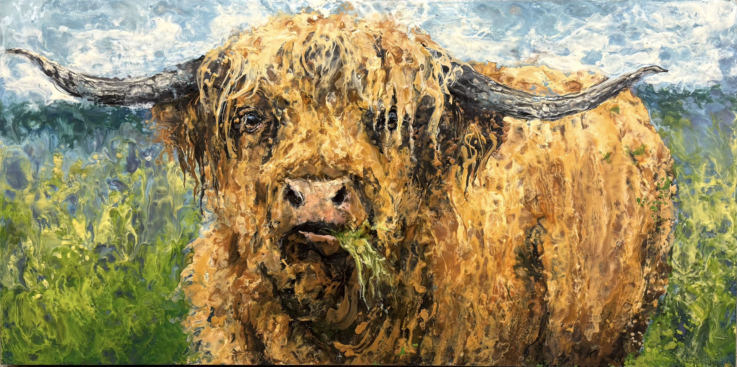 Curious Coo