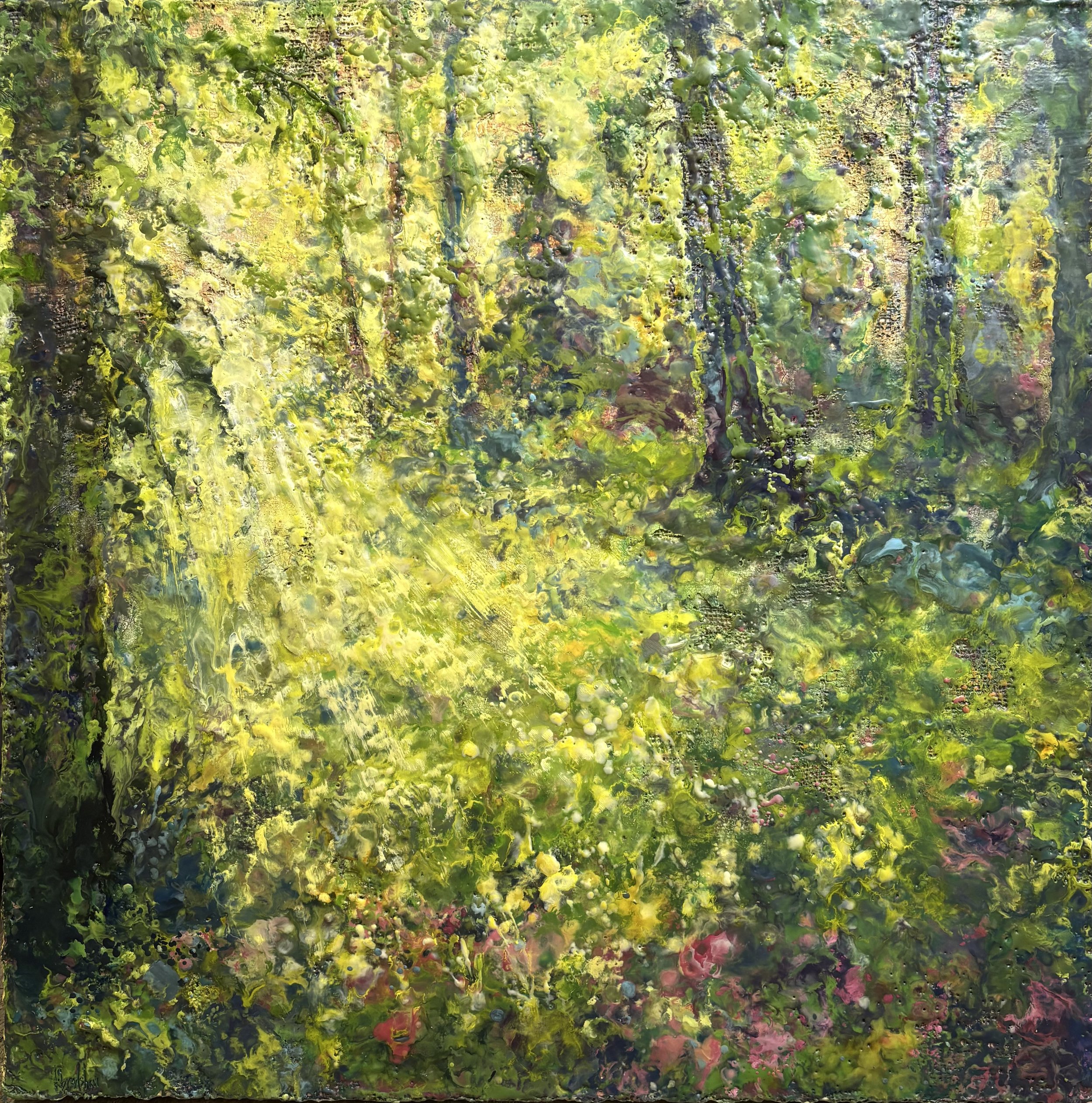 Where Fairies Hide