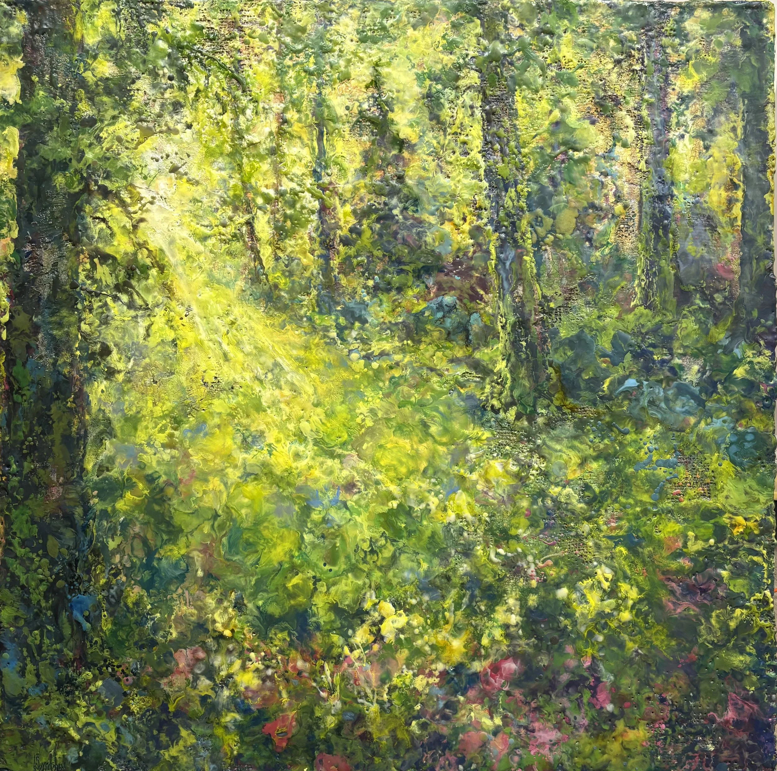 Where Fairies Hide