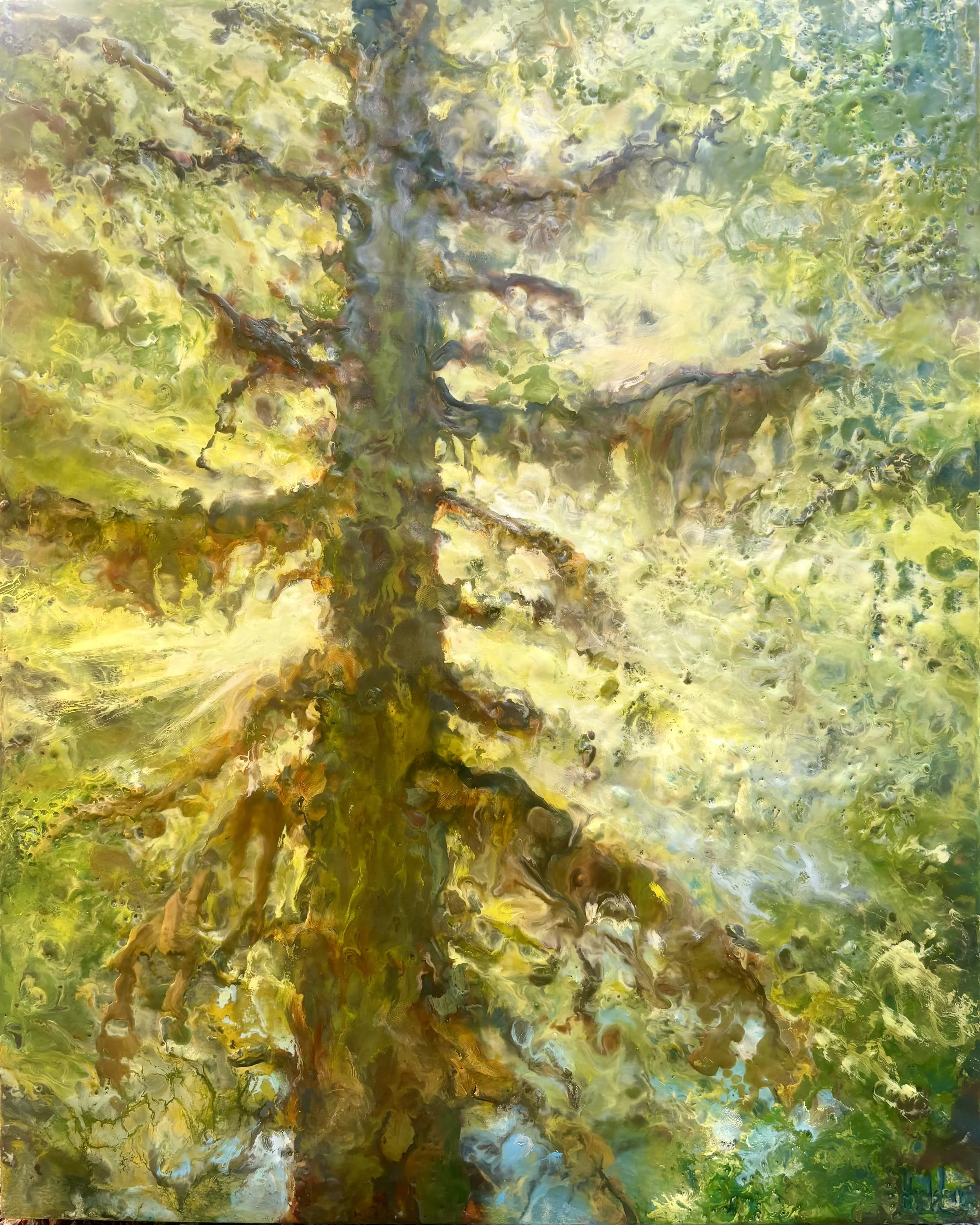Mossy Silhouette