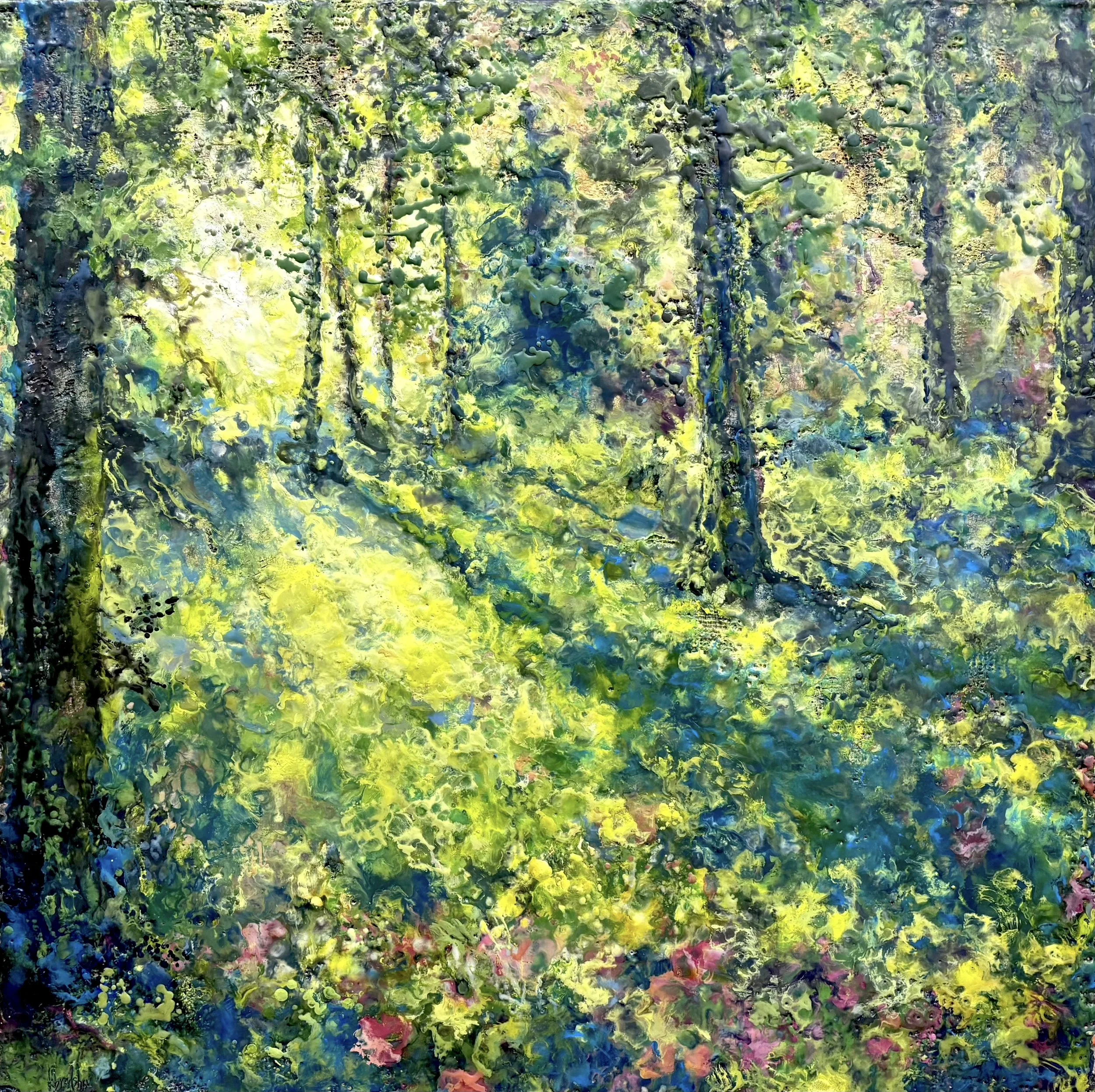 Where Fairies Hide