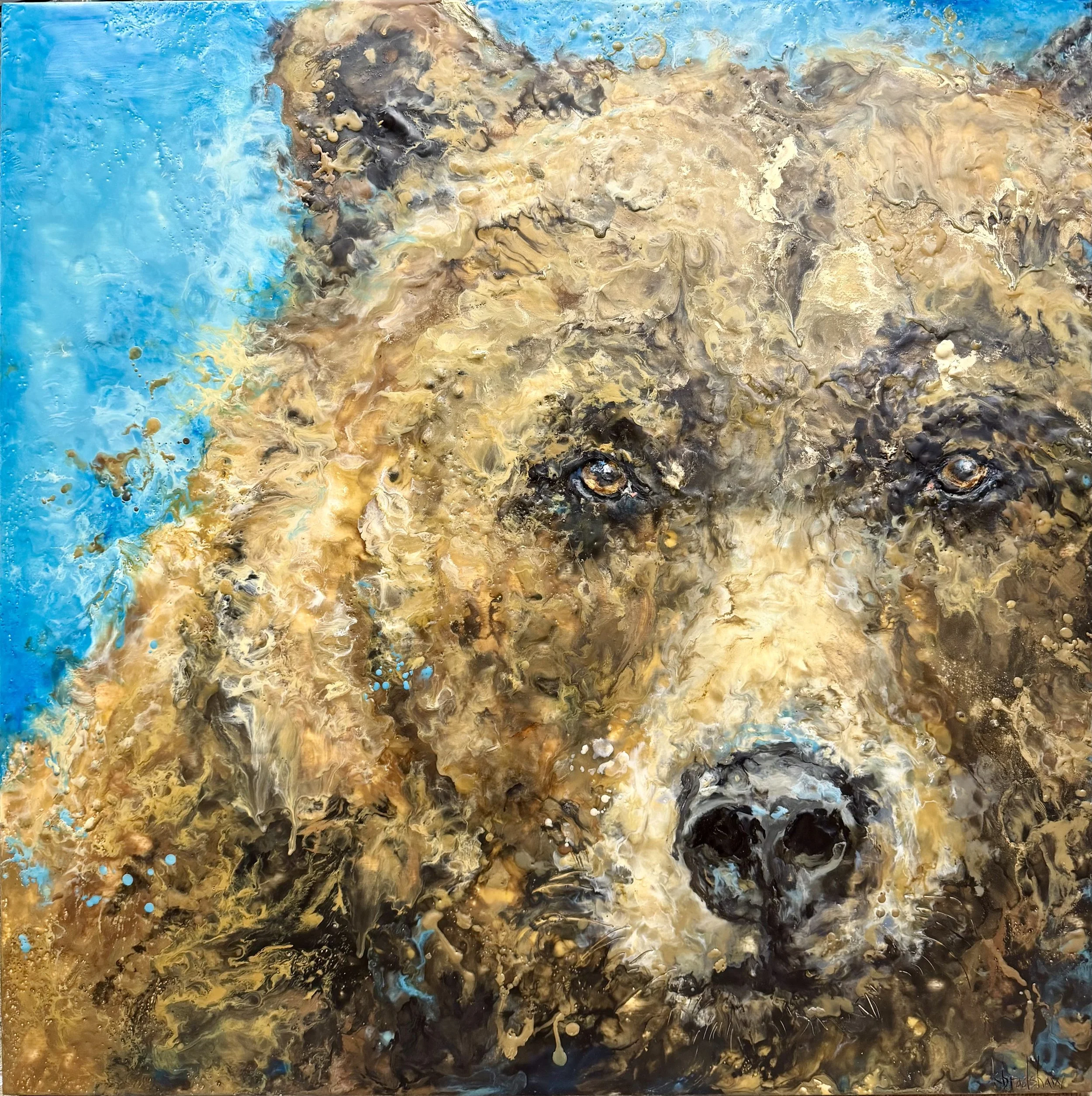 Grizzly Gaze