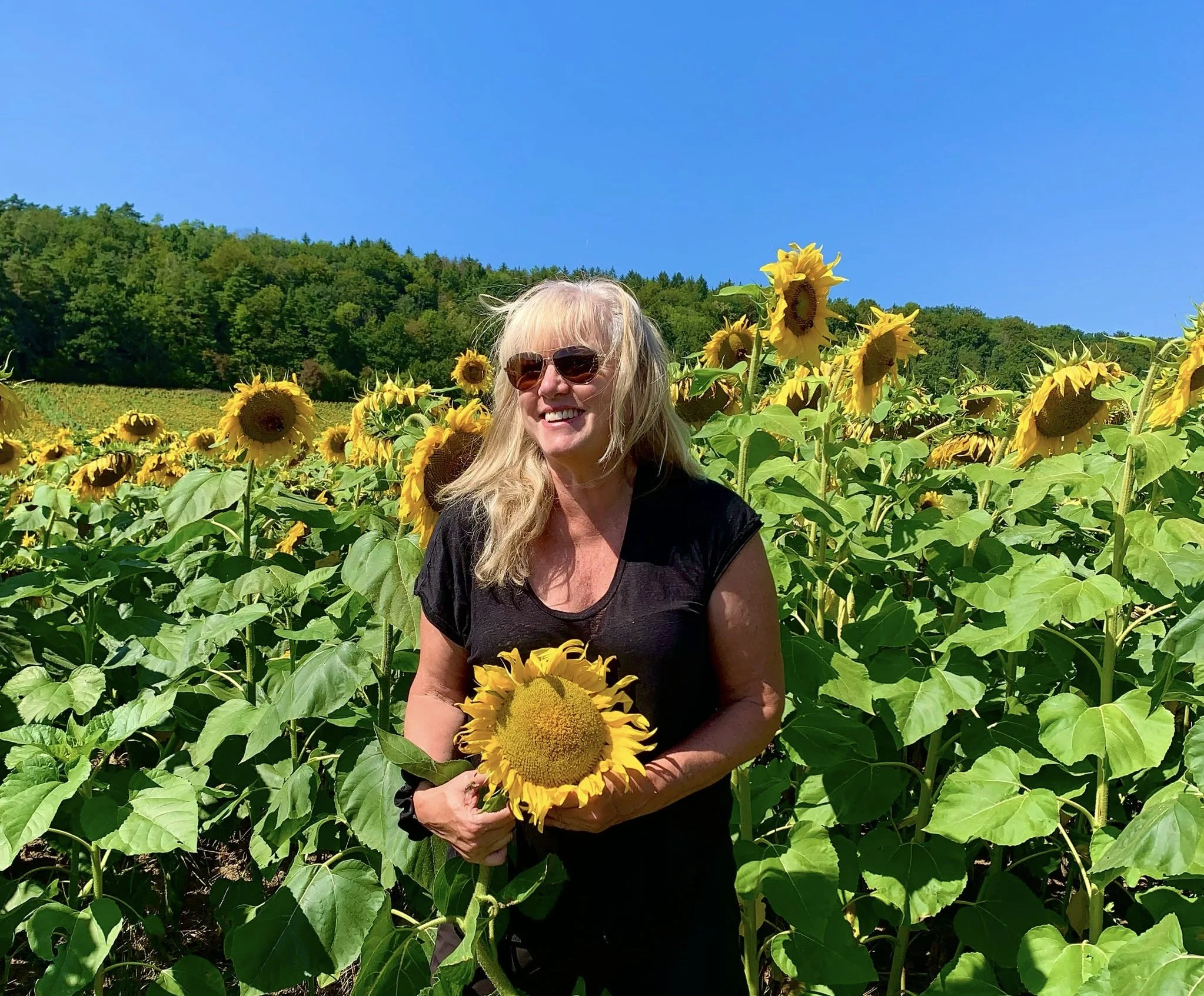 SunflowerBathingatFranceResidency.jpg
