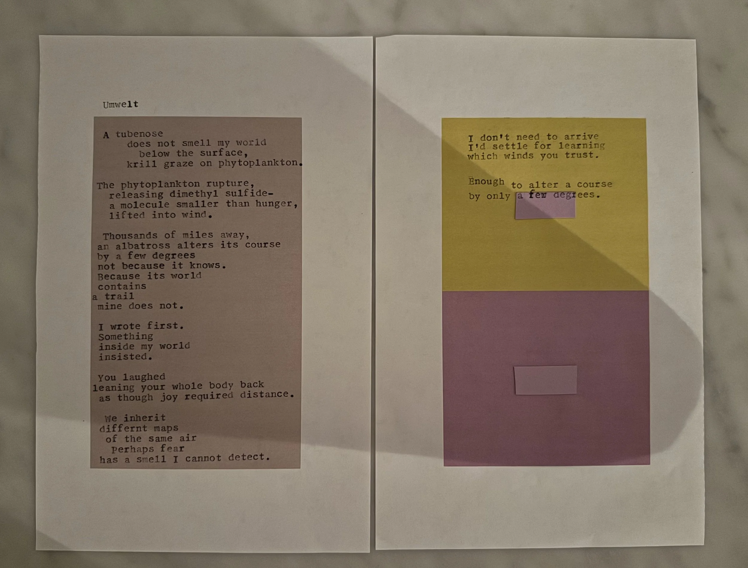 Umwelt, Typewritten visual poem, July 28 2026