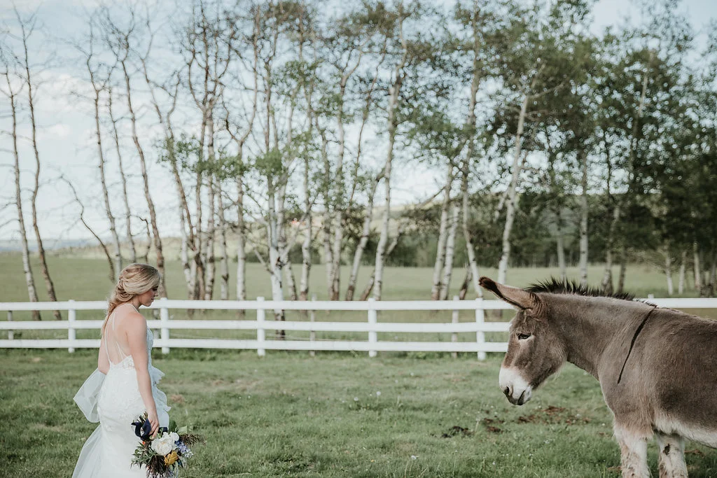 Intimate Farmyard Wedding Inspiration // Eclectic and Vintage Elopement Dripping With Jewel-Toned Decor - Bronte Bride