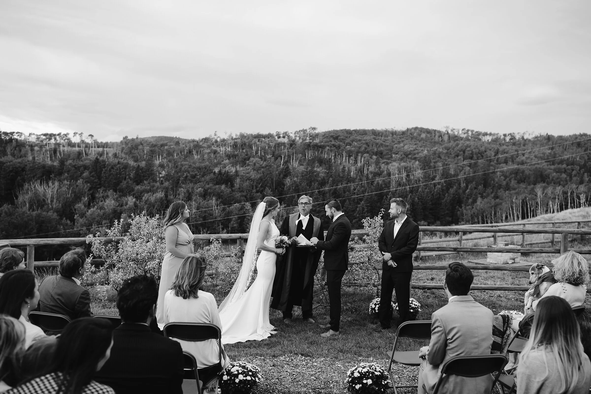This Unconventional Farm Wedding Breaks All the Rules and We Love it // Mark & Saphron - on the Bronte Bride Blog