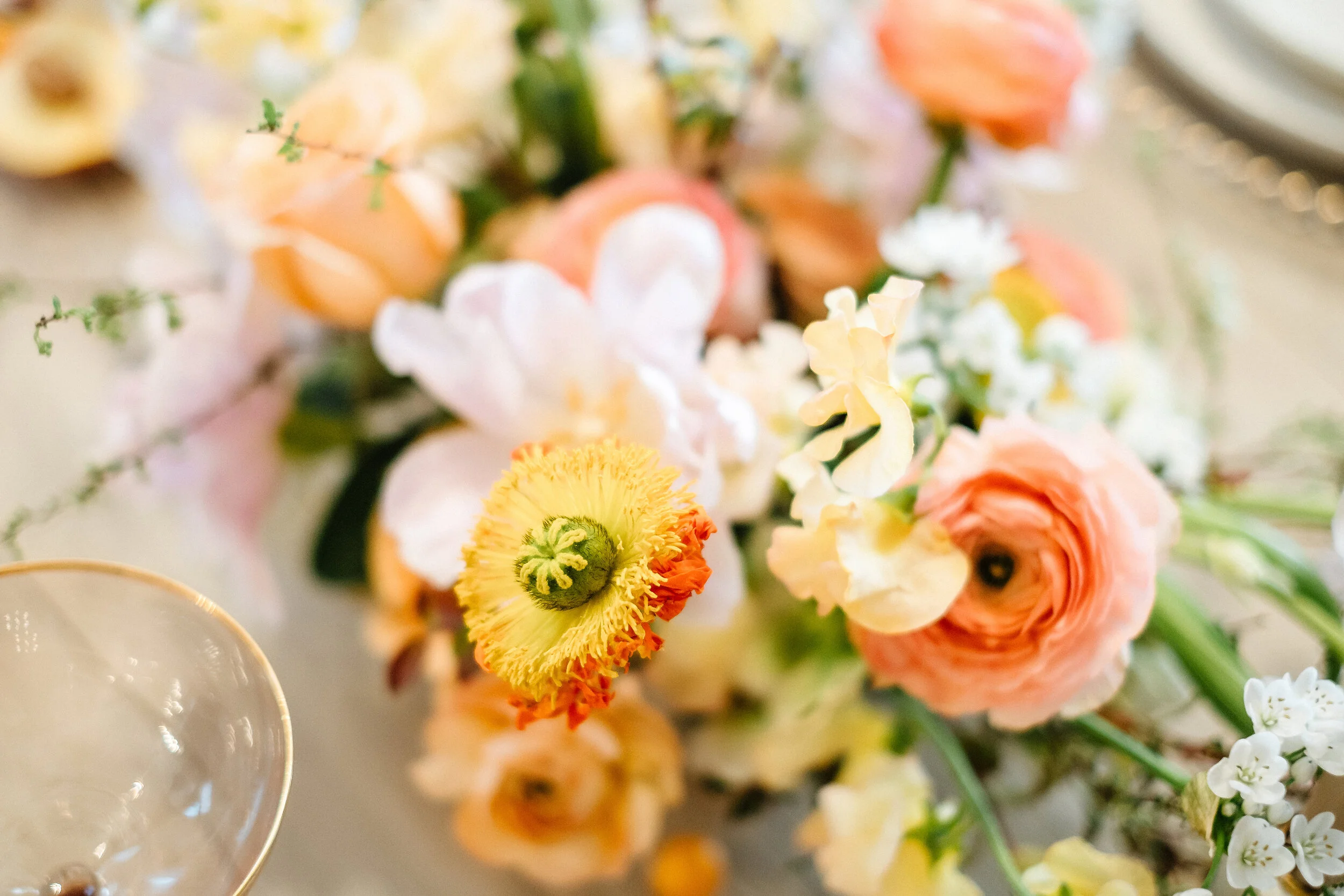 True to Hue Peach - Photography Workshops curated by Bronte Bride in Alberta