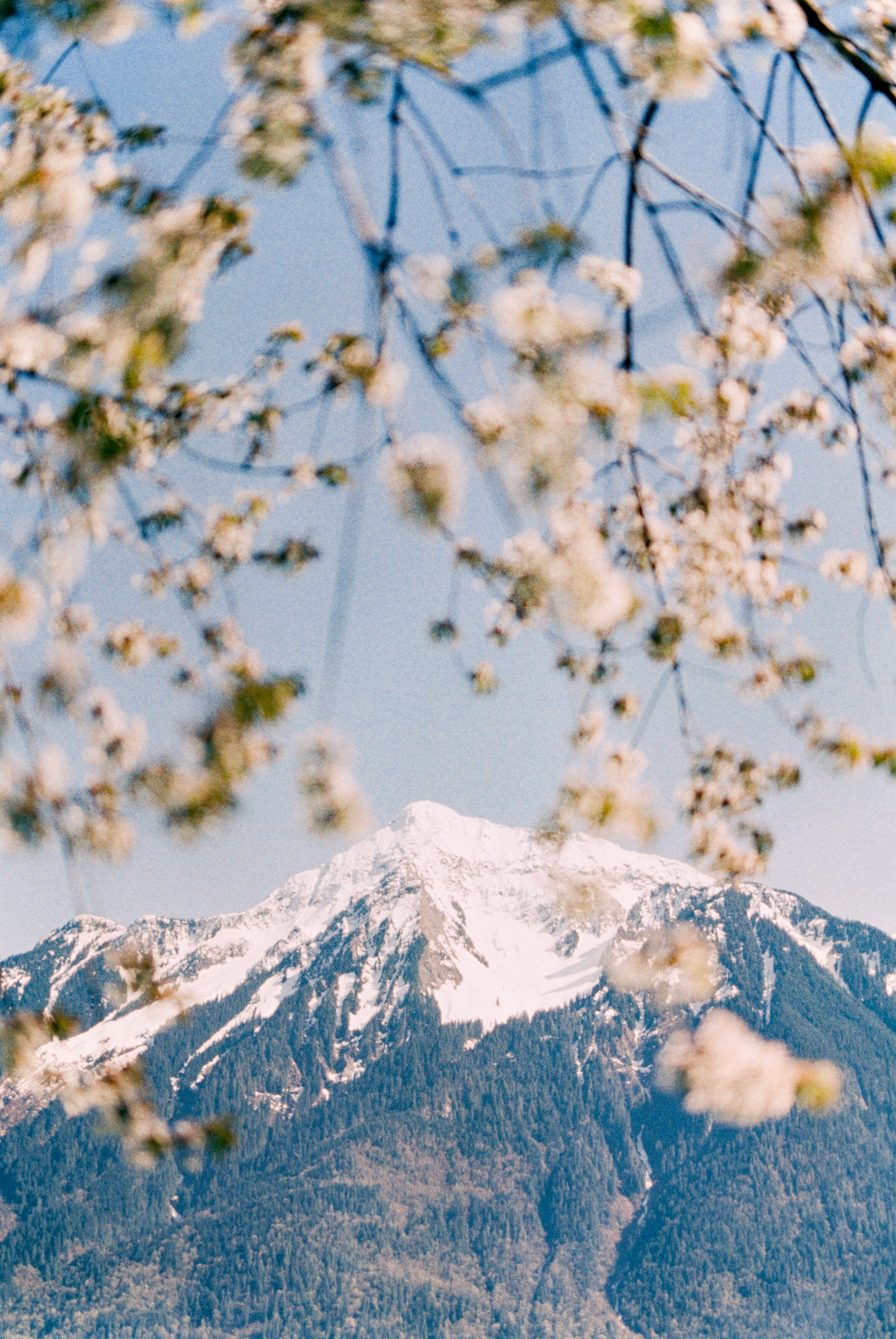 Stunning Elopement Featuring Waterfall Kisses & Helicopter Adventures // Kathryn and Richard - on the Bronte Bride Blog