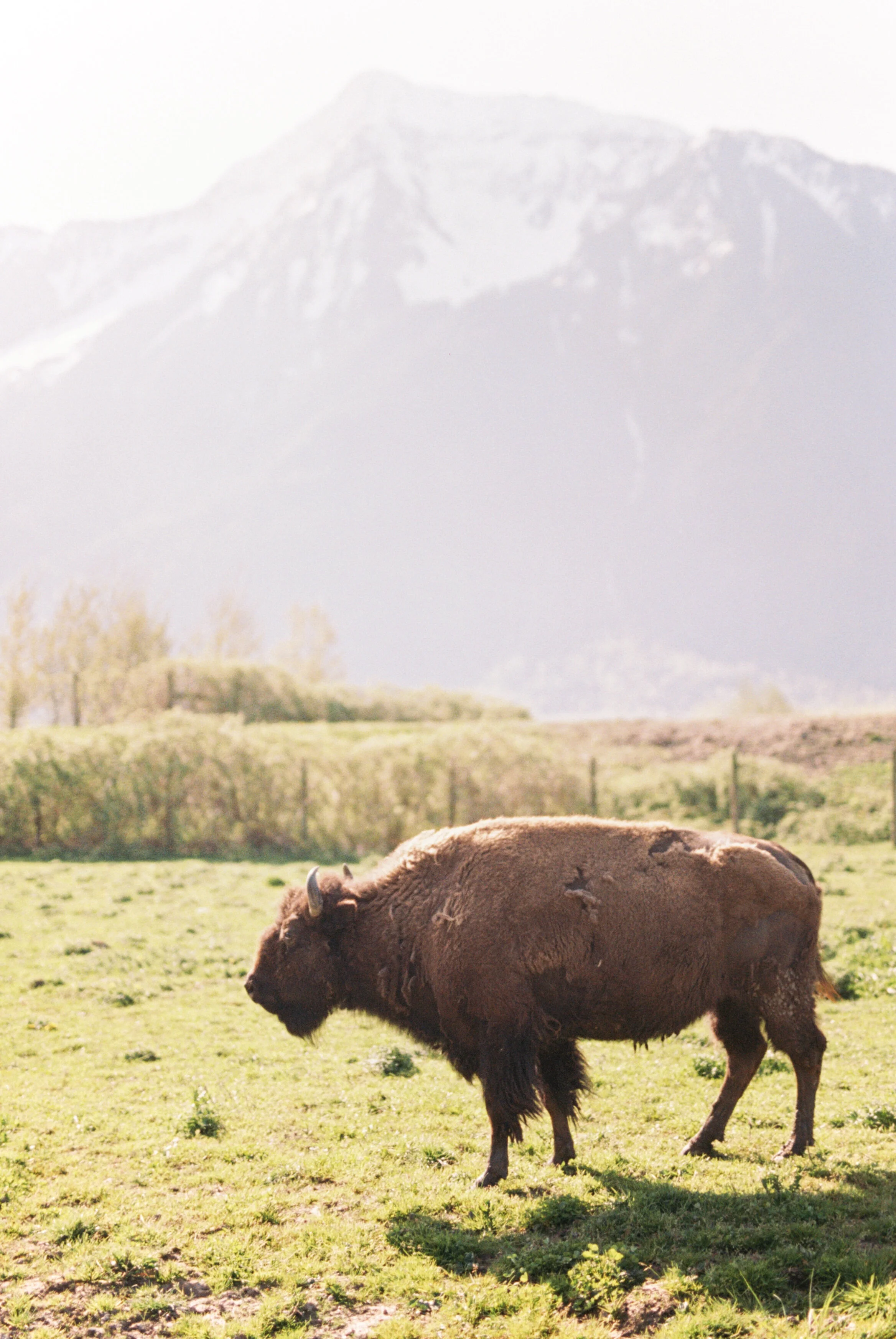 Stunning Elopement Featuring Waterfall Kisses & Helicopter Adventures // Kathryn and Richard - on the Bronte Bride Blog