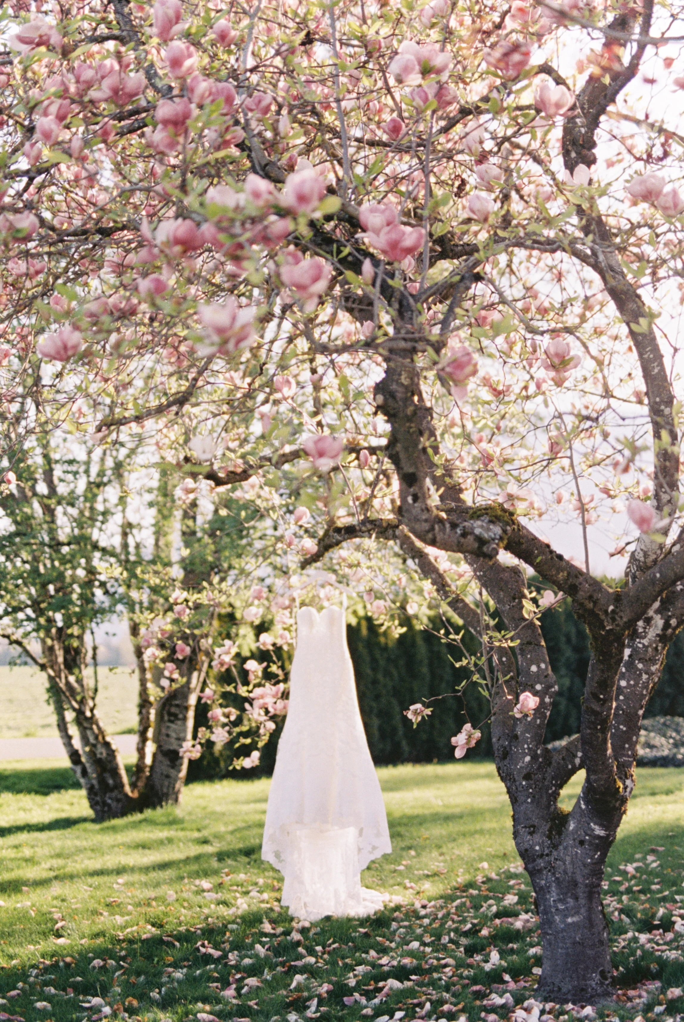 Stunning Elopement Featuring Waterfall Kisses & Helicopter Adventures // Kathryn and Richard - on the Bronte Bride Blog
