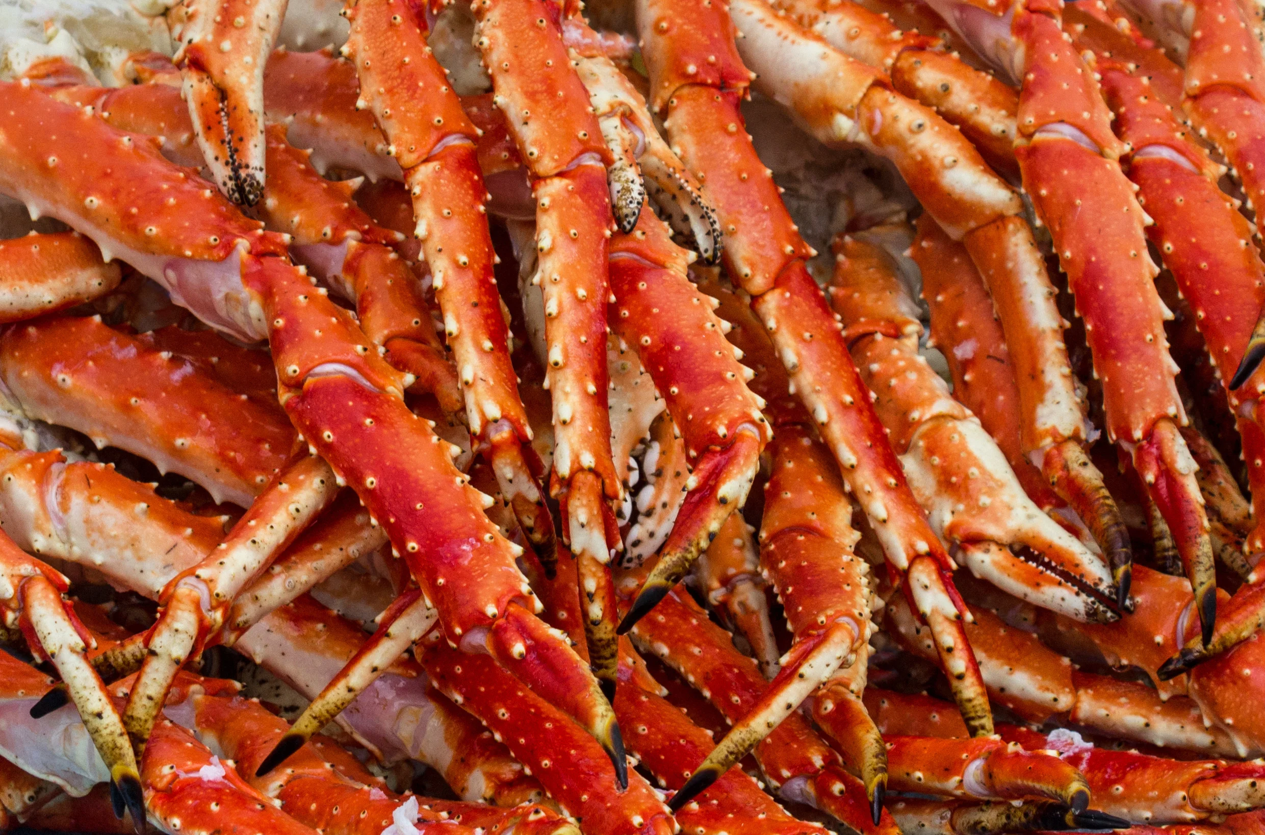 king-crab-legs.jpg
