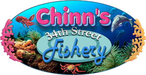 logo.png