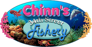 logo.png