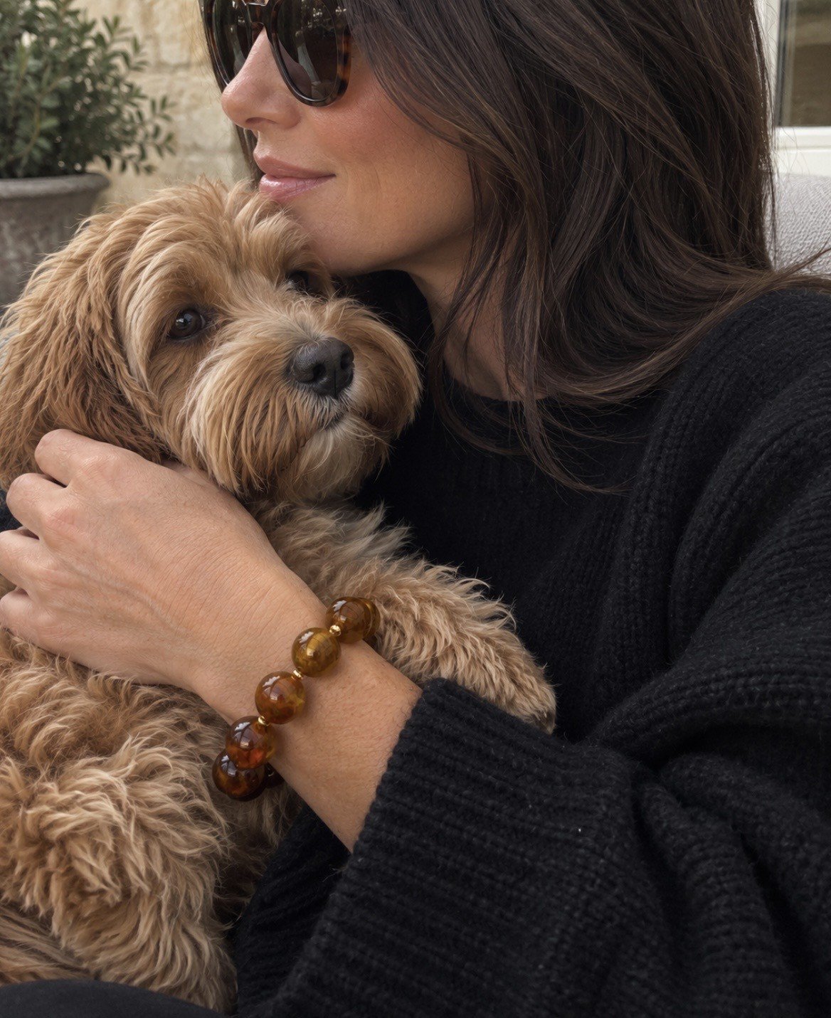 folly brown dog.jpg