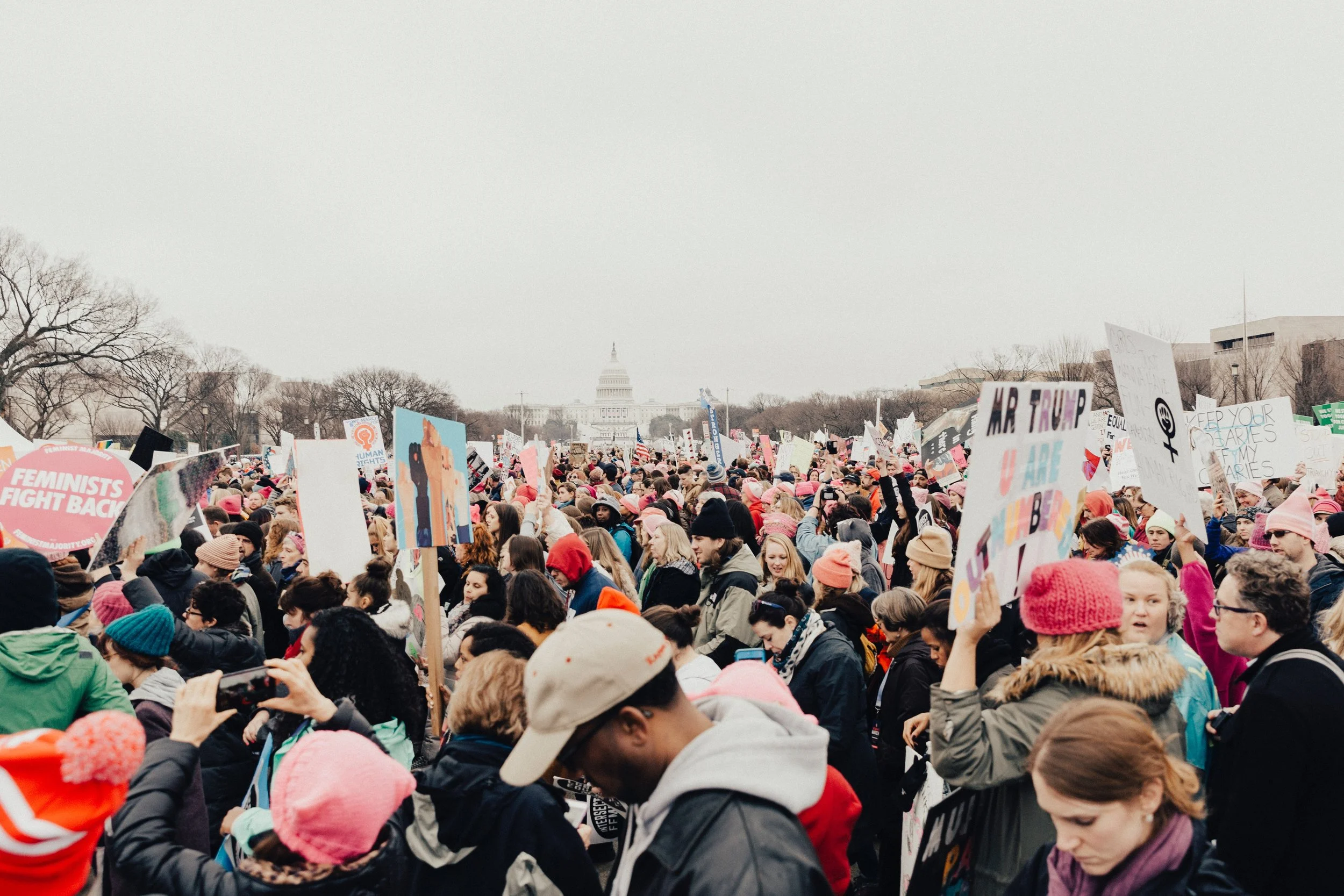 roya-ann-miller-196177-unsplash.jpg