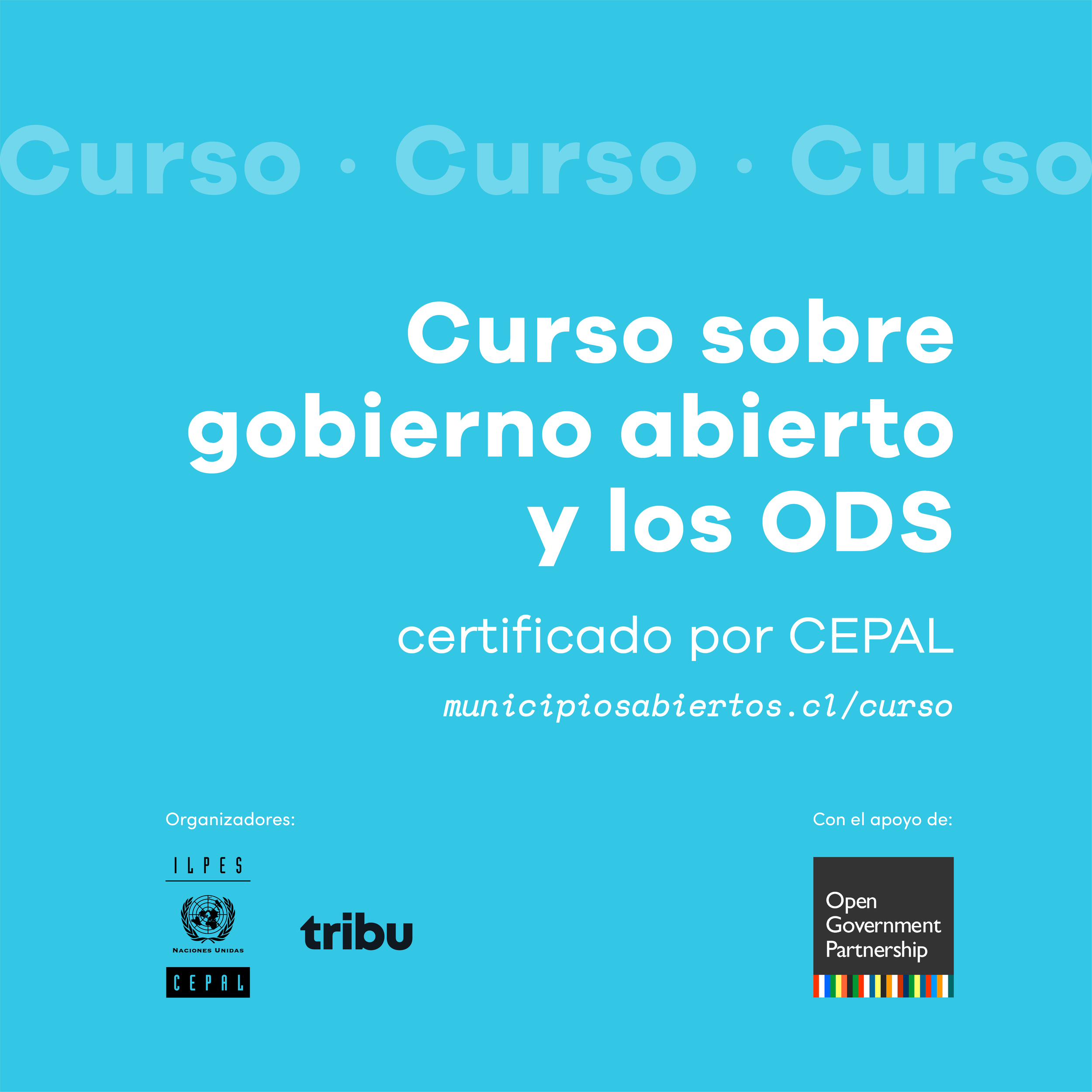 Celeste_cuadrado_1.png