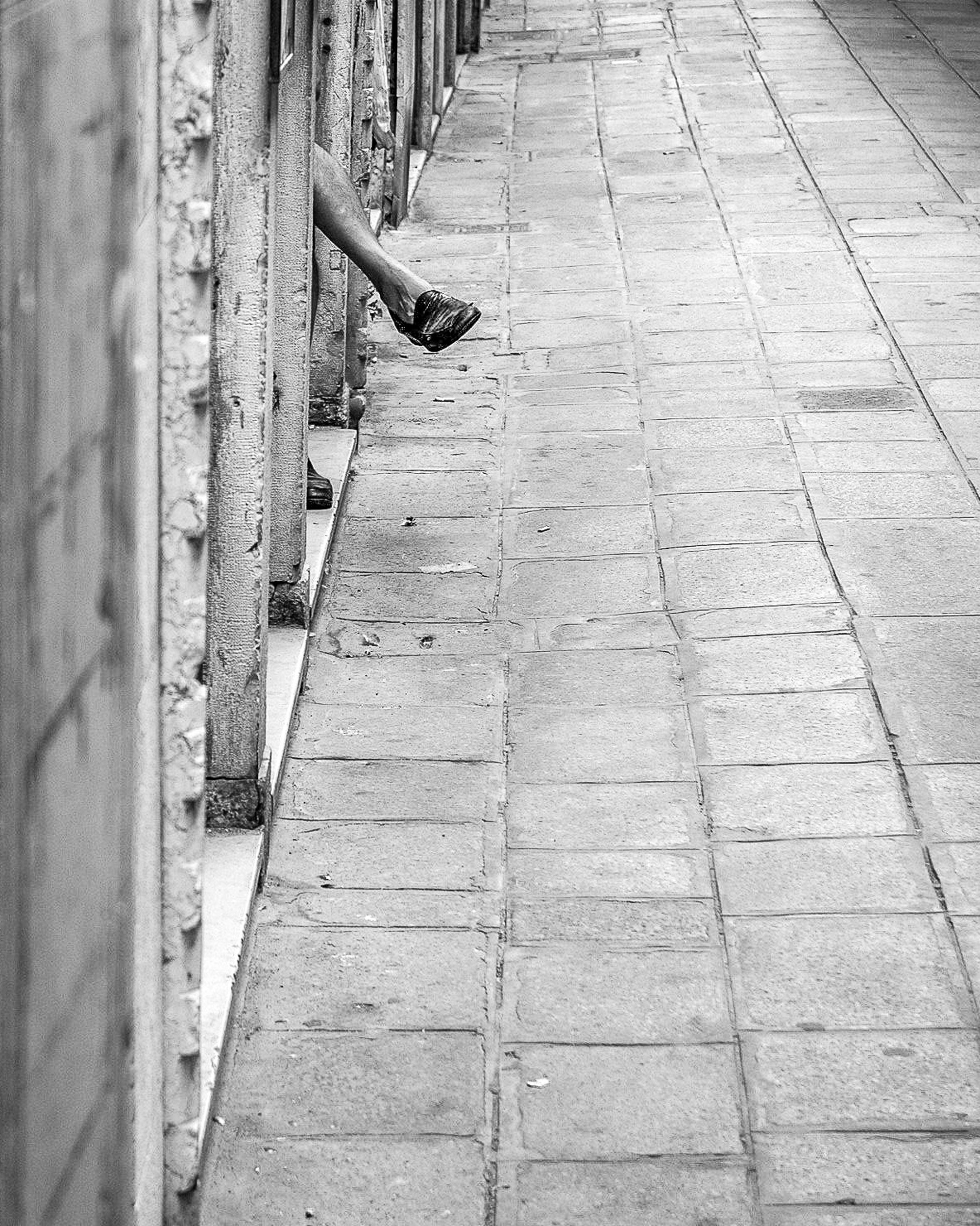 Image of the Month: Alley Leg