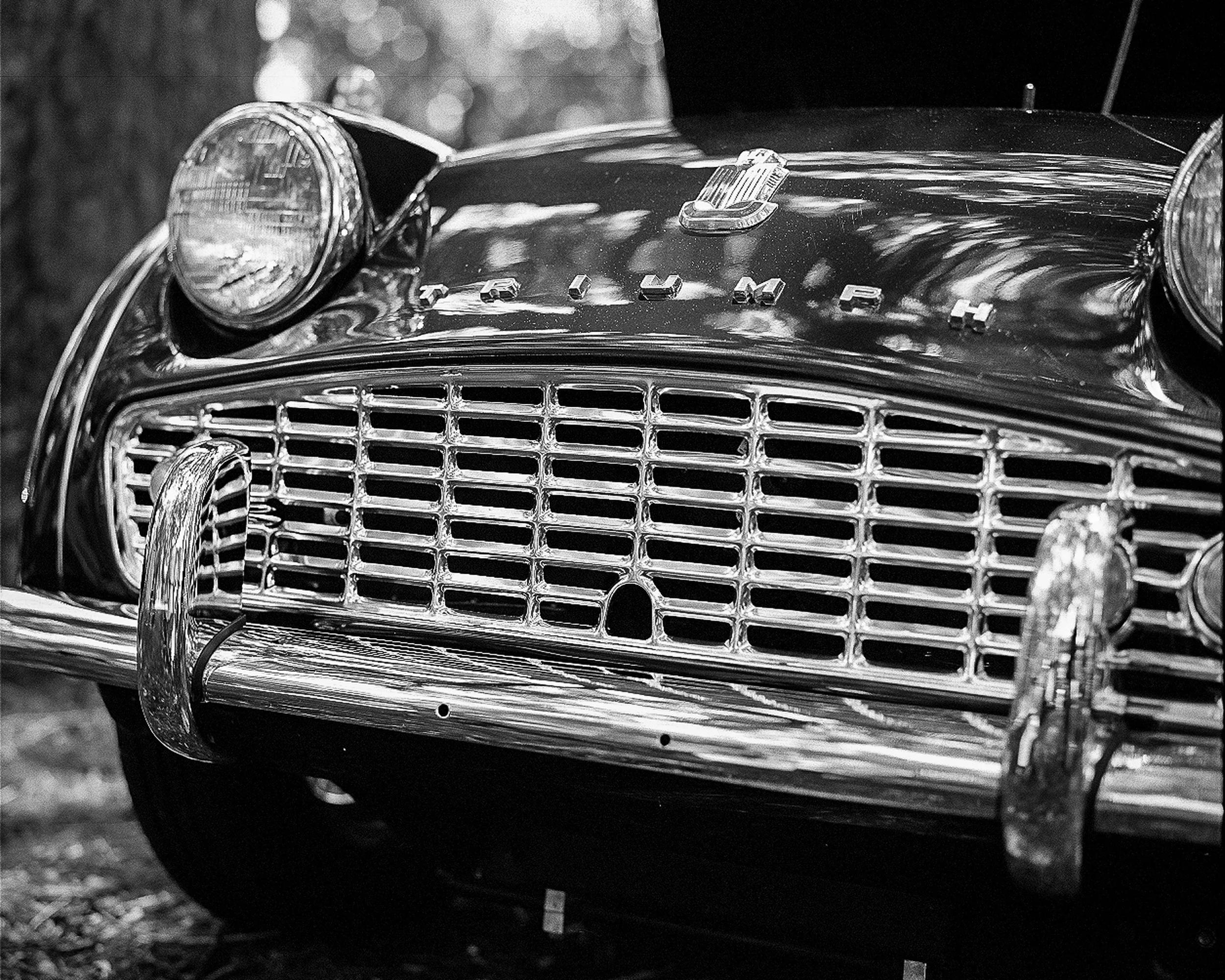 Image of the Month: Triumph