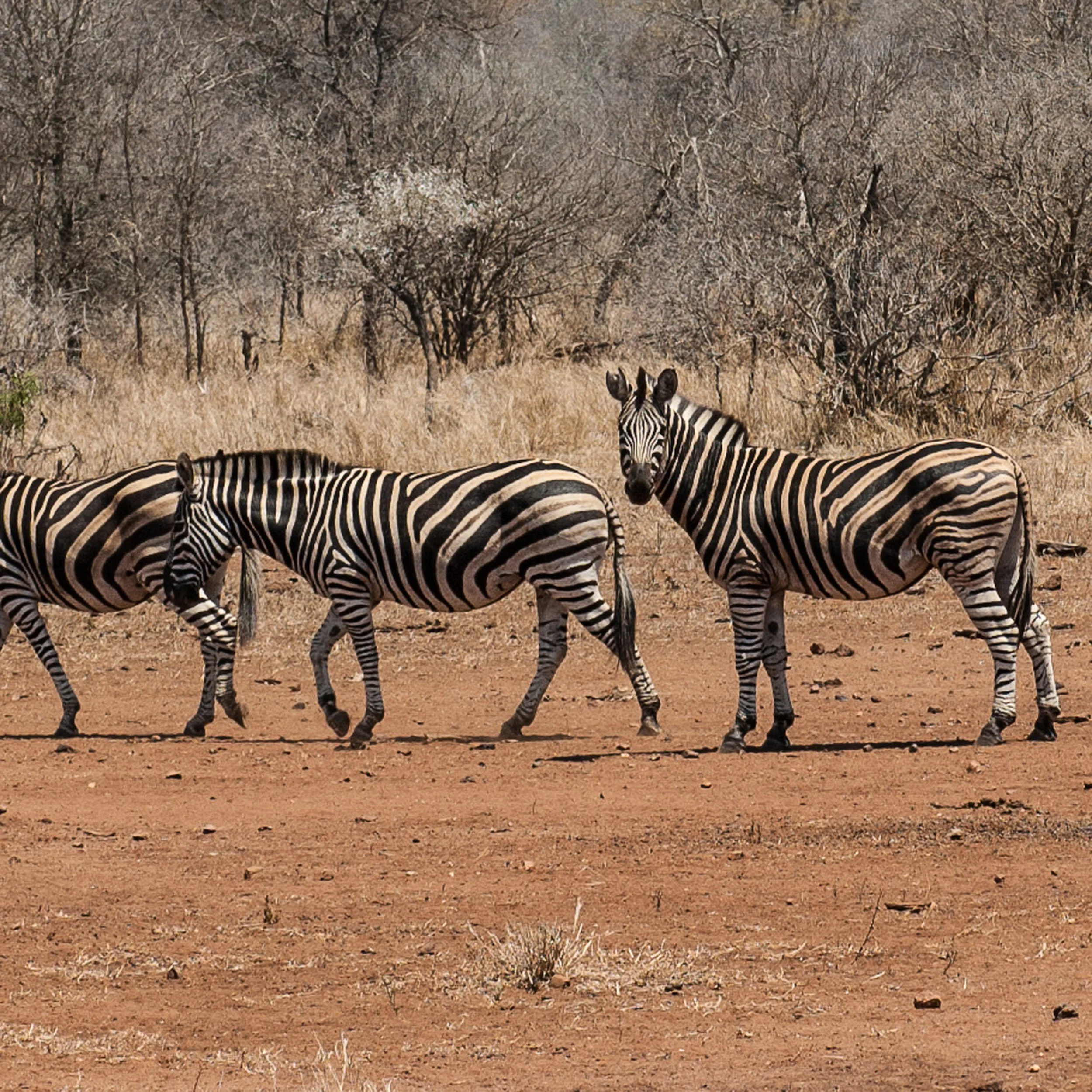 What Are You Looking For?