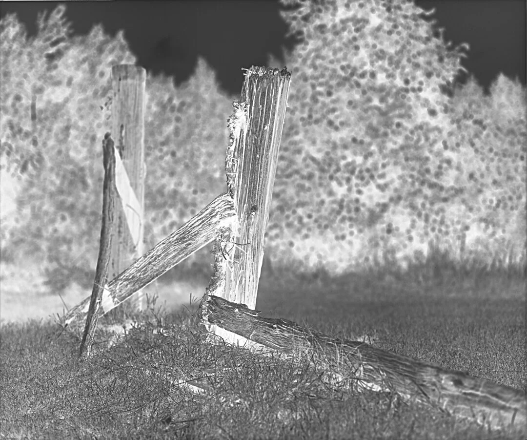 How To Create A Black And White Negative With ON1