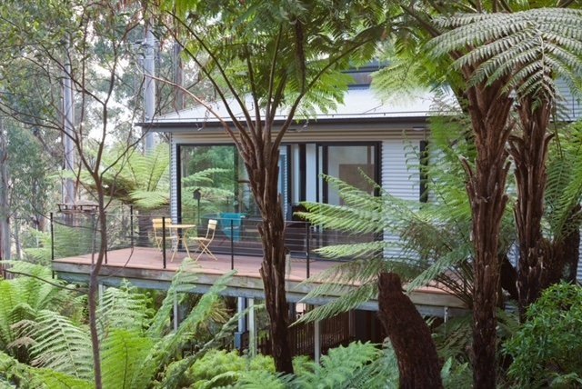 treehouse_hres-23.jpg