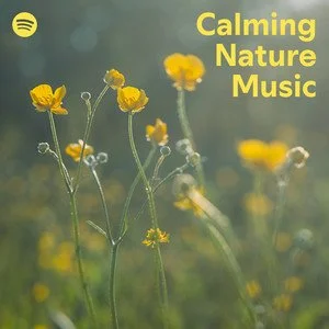 calming nature music.jpeg