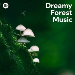 dreamy forest music.jpeg