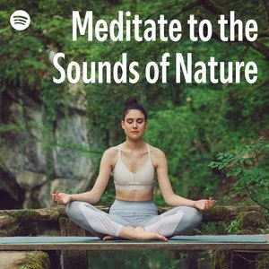 meditate to the sounds of nature.jpeg