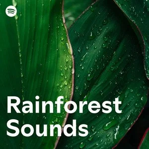 rainforest sounds.jpeg