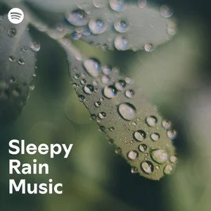 sleepy rain music playlist.jpeg