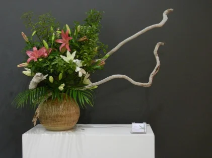 Freestyle workshop with Elizabeth McMillan