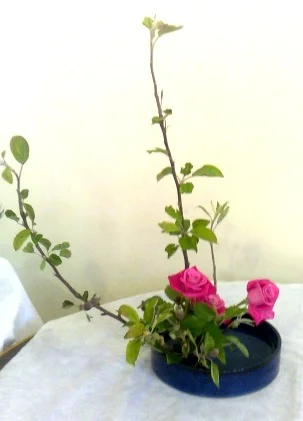 Basic moribana arrangement
