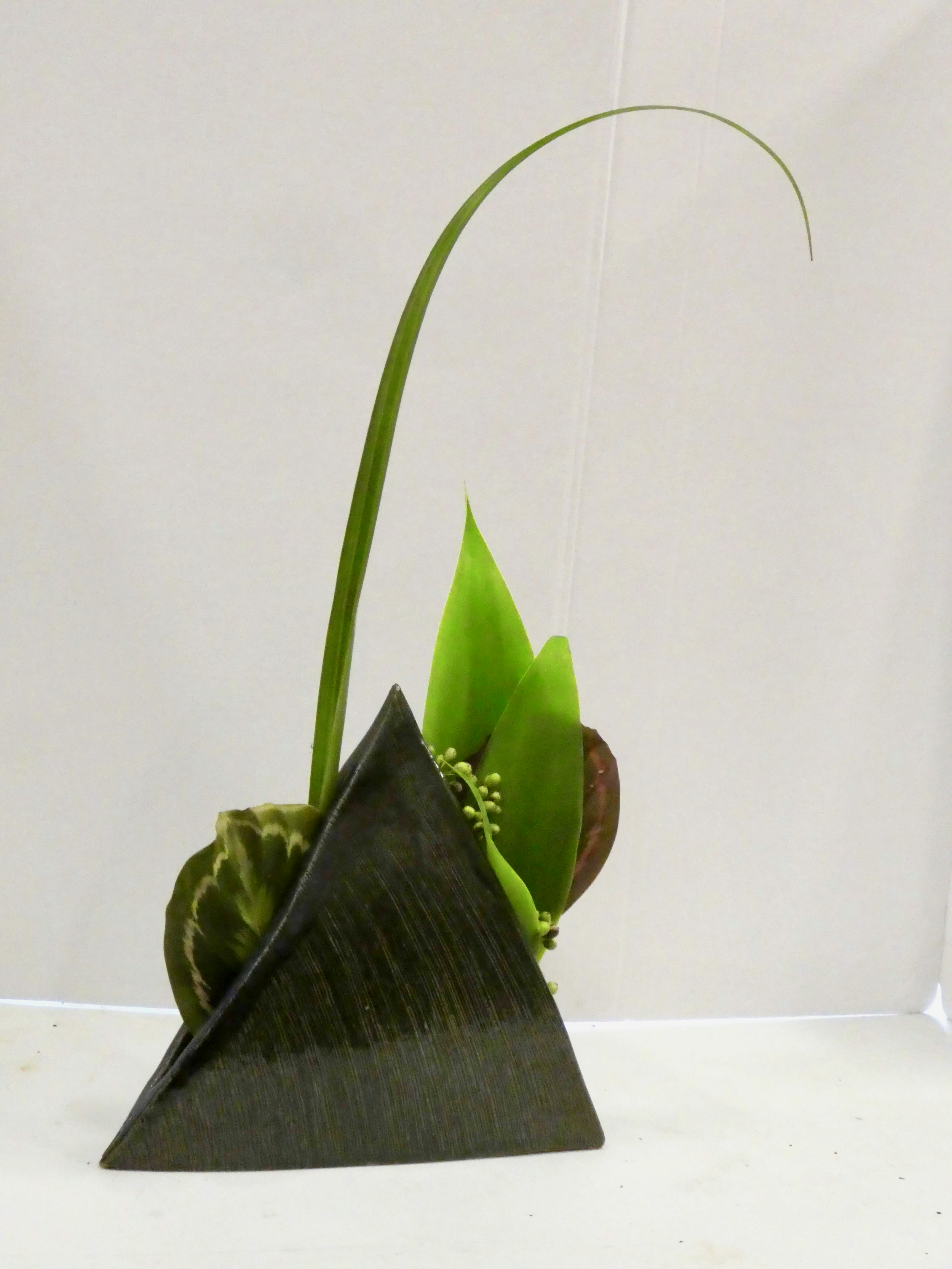 1980 - Preparation for a Regional Conference