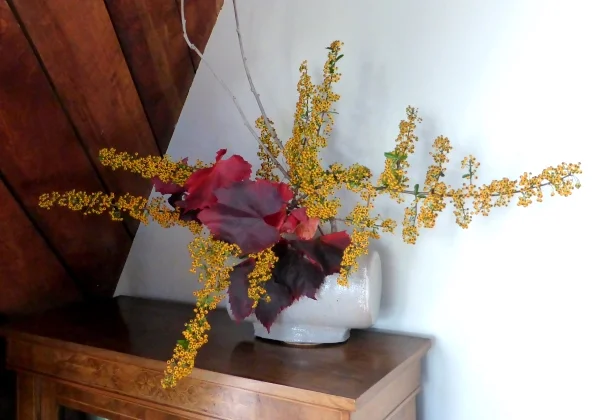 Ikebana using fruit &amp; vegetables with Adrianna Nickless