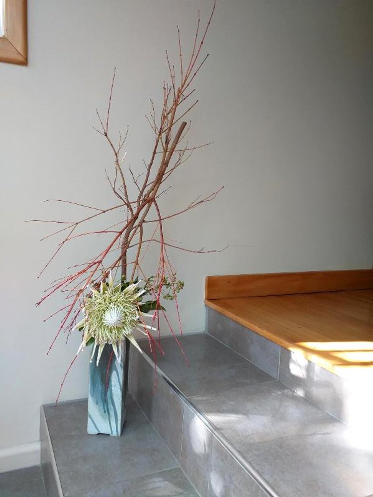 Sandi's arrangement highlights a King protea with Japanese maple in tall ceramic vase