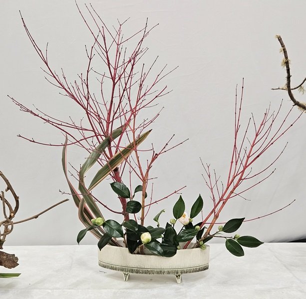 Sandi used Japanese maple branches with camellia and flax in a low standing container