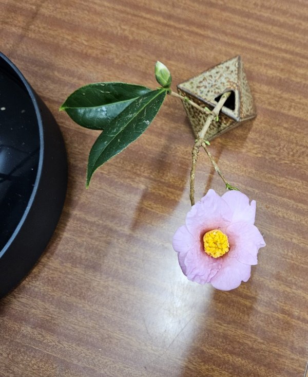 Takako's small triangular container with a single camellia and leaves