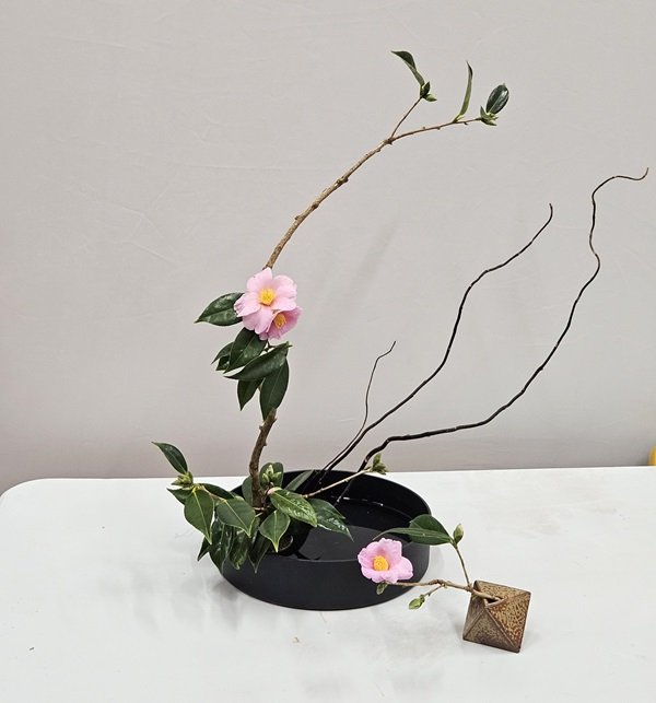 Takako arranged a camellia branch and flowers with twisted vine in a black, round container