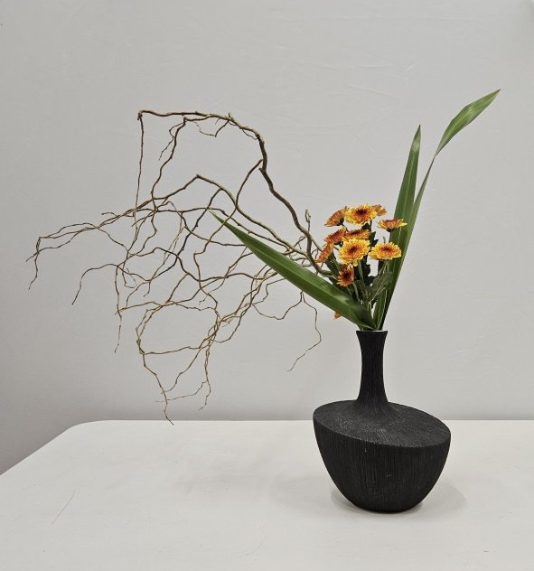 Sharon arranged a twisted willow branch with chrysanthemums and leaves in an asymetric black vase