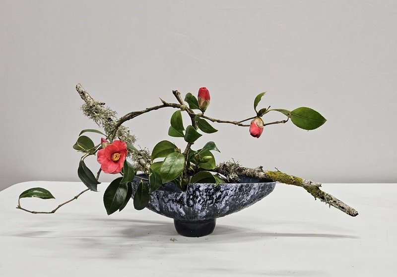Carolyn arranged a lichen-covered branch in a llow container with camellia leaves and flowers