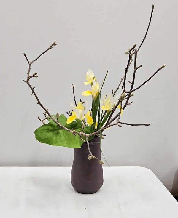 Helen arranged budding pussy willow branches with yellow irises and large leaves