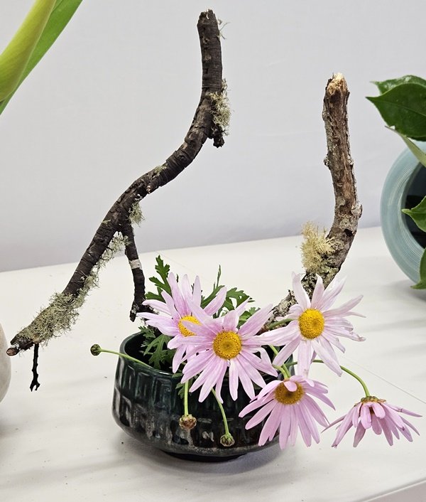 Nicole's small arrangement of lichen-covered branches with purple daisies in a low ceramic container