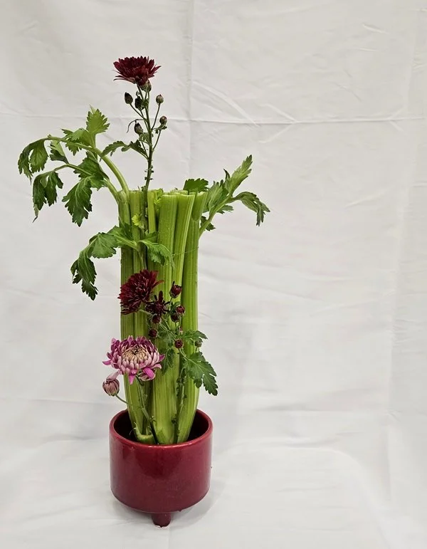 MasakoCelery2.jpg