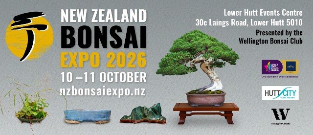 Bonsai.jpg