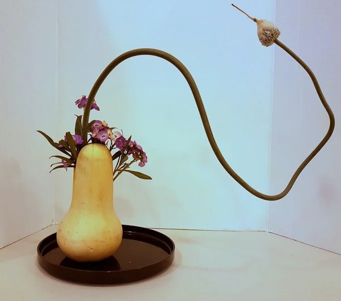 Butternut.jpg