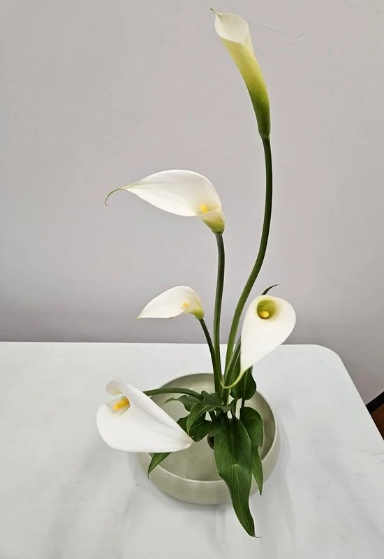 ArumLilies.jpg