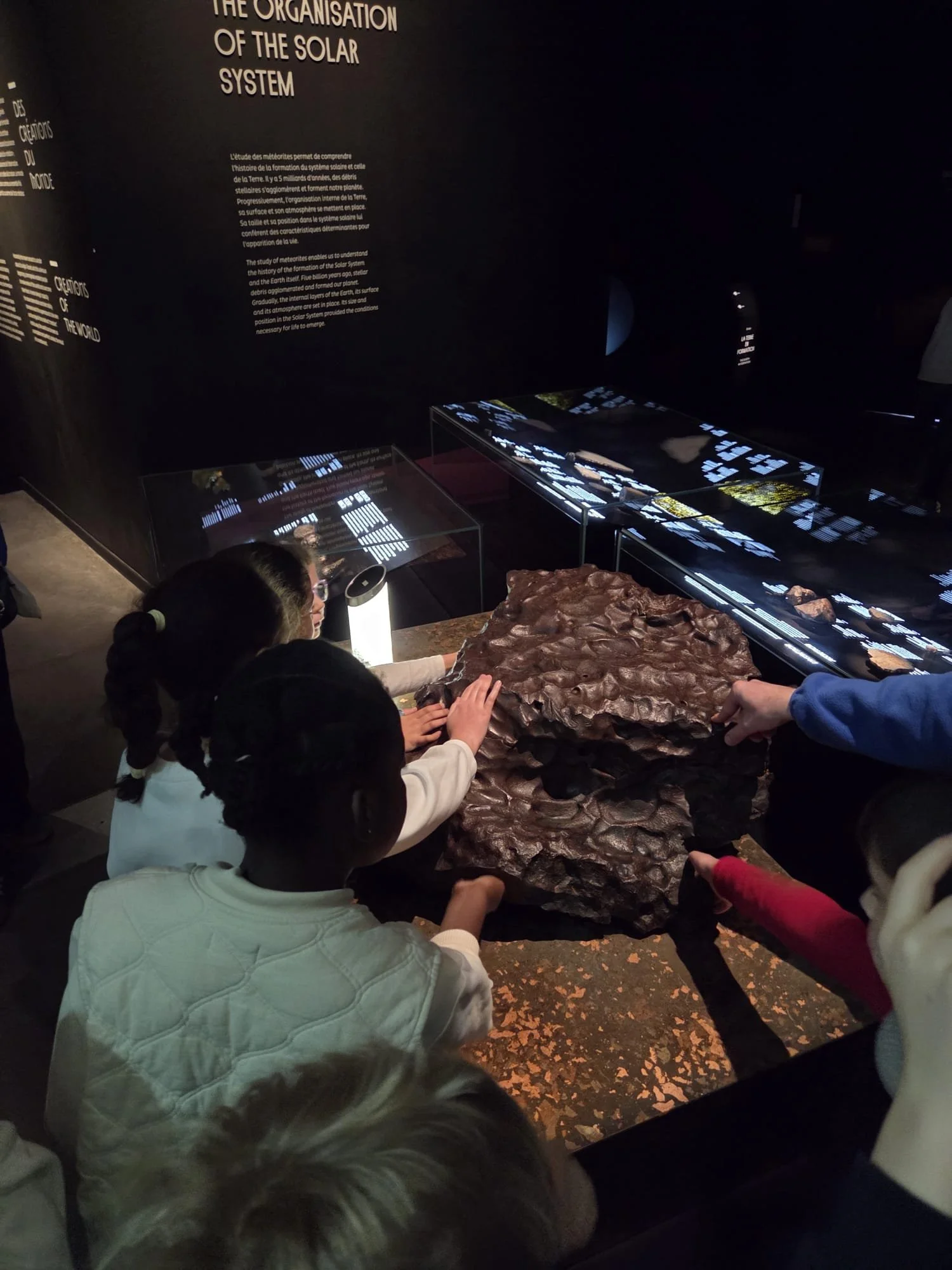 Musée des Confluences